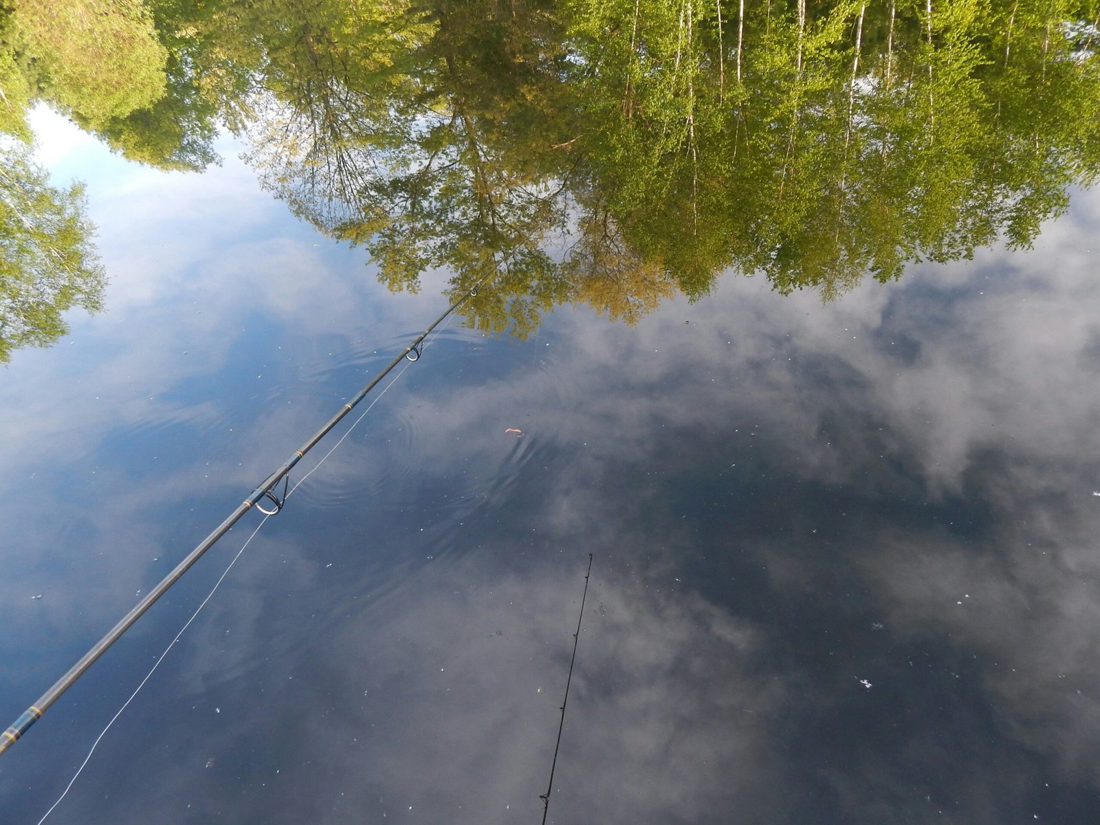 a fishing rod in the water with trees in the background